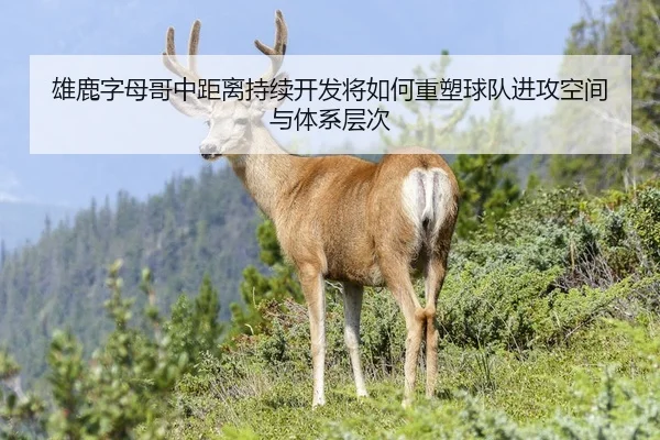 雄鹿字母哥中距离持续开发将如何重塑球队进攻空间与体系层次